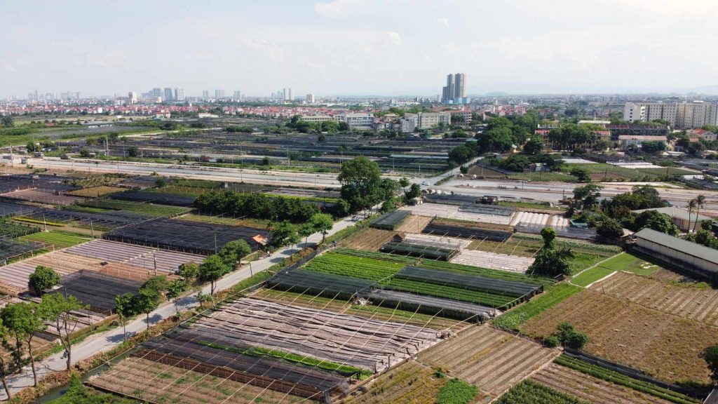 Phân tích ưu nhược điểm khi mua đất 60m2 Tây Tựu và đất 80m2 Tây Tựu về công năng, chi phí xây dựng, tính thanh khoản, giúp bạn đưa ra quyết định đầu tư đúng đắn.
